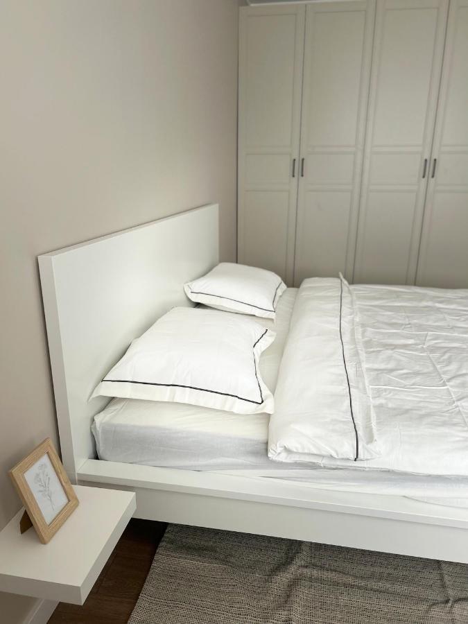Skandi Appartments In Saldus City Center Dış mekan fotoğraf